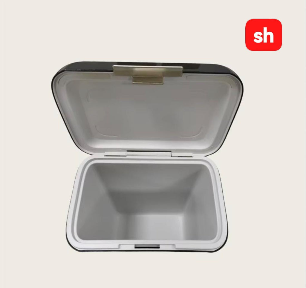 Portable ice cooler box 10L