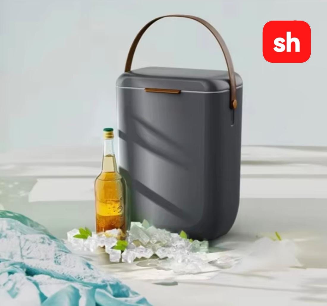 Portable ice cooler box 10L